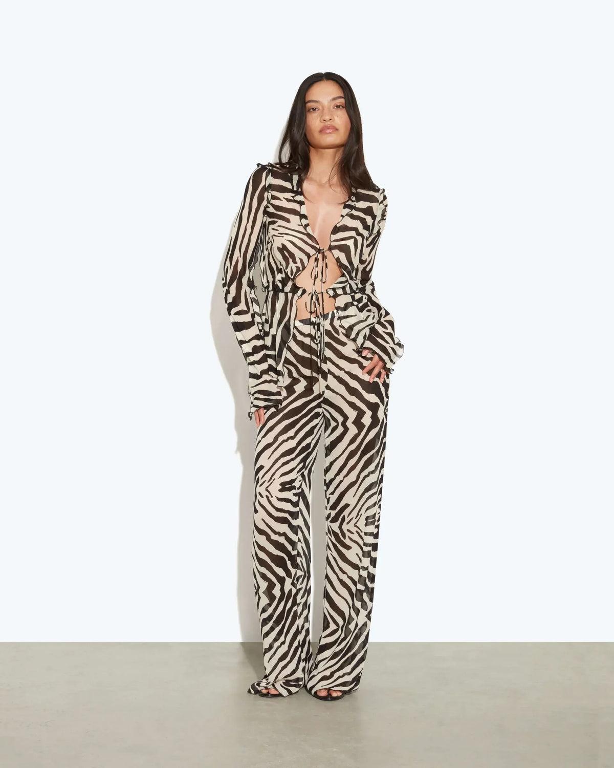 Zebra Print Tie Front Sheer Shirt and Wide Leg Pants Two Piece Set